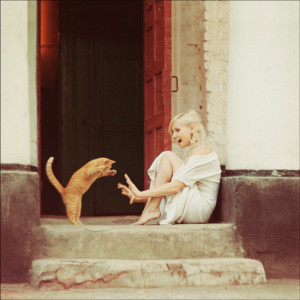 cat4
